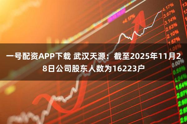 一号配资APP下载 武汉天源：截至2025年11月28日公司股东人数为16223户