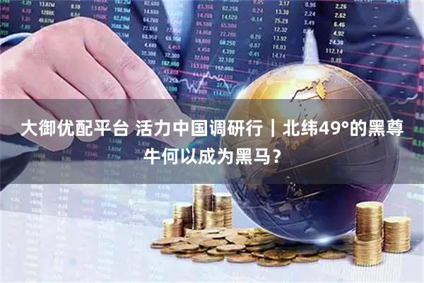 大御优配平台 活力中国调研行｜北纬49°的黑尊牛何以成为黑马？